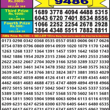 dear 10 weekly lottery result 1.30pm