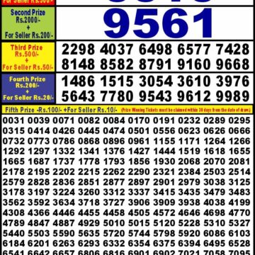 punjab state dear 10 weekly lottery result 6pm