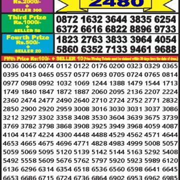 dear 10 weekly lottery result 1:30pm