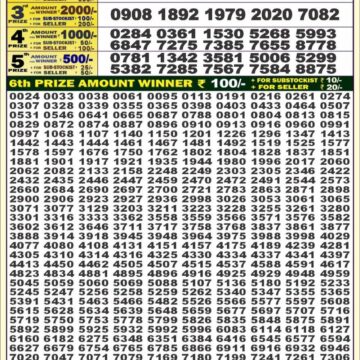 dear 50 weekly lottery result 4pm