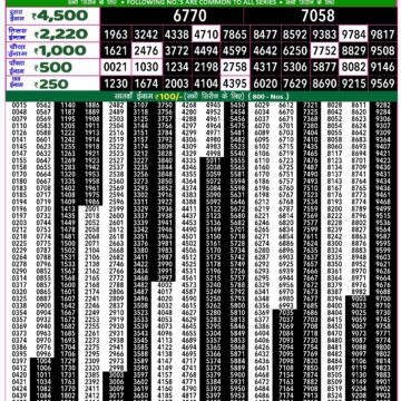 rajshree 50 lottery