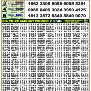 dear 100 weekly lottery result 4pm