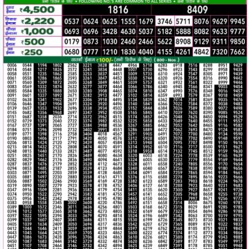 rajshree 50 lottery result 7:30pm