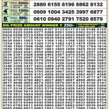 dear 100 weekly lottery result 4pm