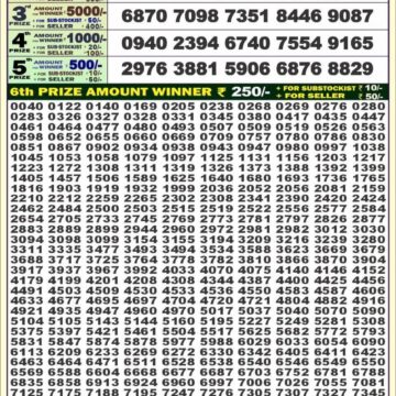 dear 100 weekly lottery result 4pm