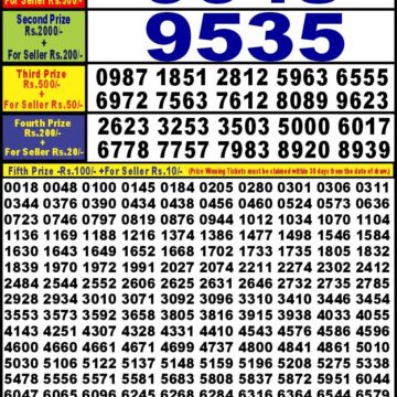 punjab state dear 10 weekly lottery result 6pm