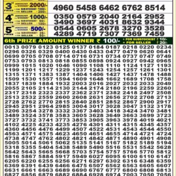 dear 50 weekly lottery result 4pm