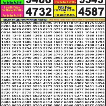 labh laxmi lottery result 4pm