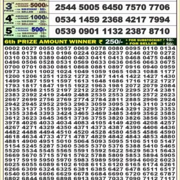 dear 100 weekly lottery result 4pm