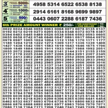 dear 100 weekly lottery result 4pm