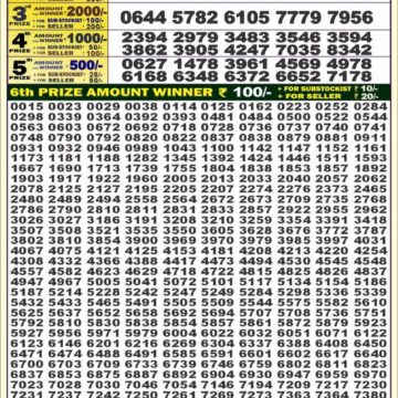 dear 50 weekly lottery result 4pm