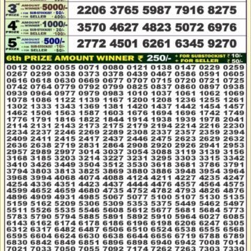 dear 100 weekly lottery result 4pm