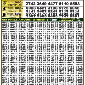 dear 50 weekly lottery result 4pm