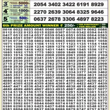 dear 100 weekly lottery result 4pm