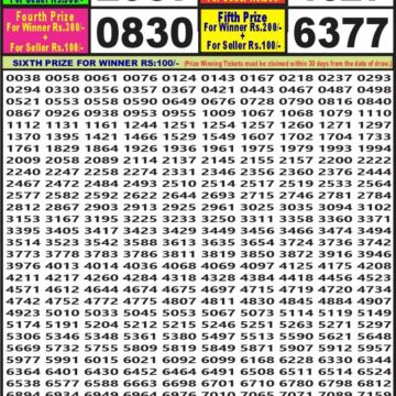 labh laxmi lottery result 4pm