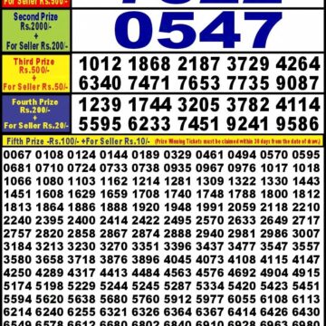 punjab state dear 10 weekly lottery result 6pm