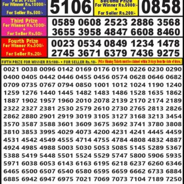 dear 10 weekly lottery result 7pm