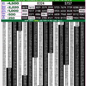 rajshree 50 lottery result 7:30pm