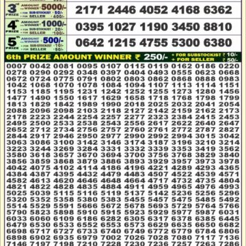 dear 100 weekly lottery result 4pm