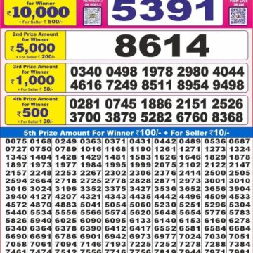 sikkim state lottery dear 10