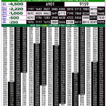 rajshree 50 ravi weekly lottery