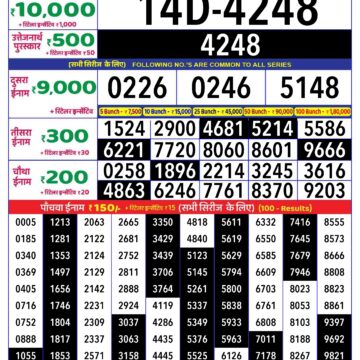 rajshree lottery 1pm